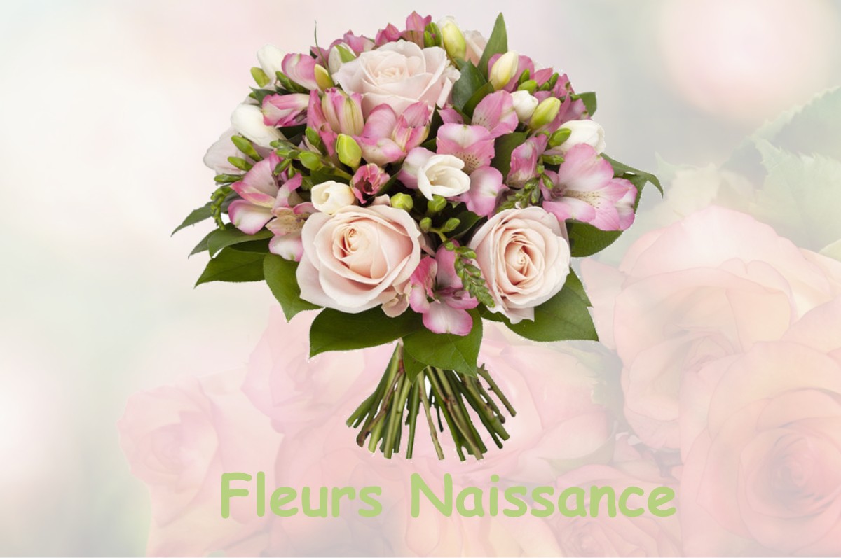 fleurs naissance NANTEUIL-LA-FORET
