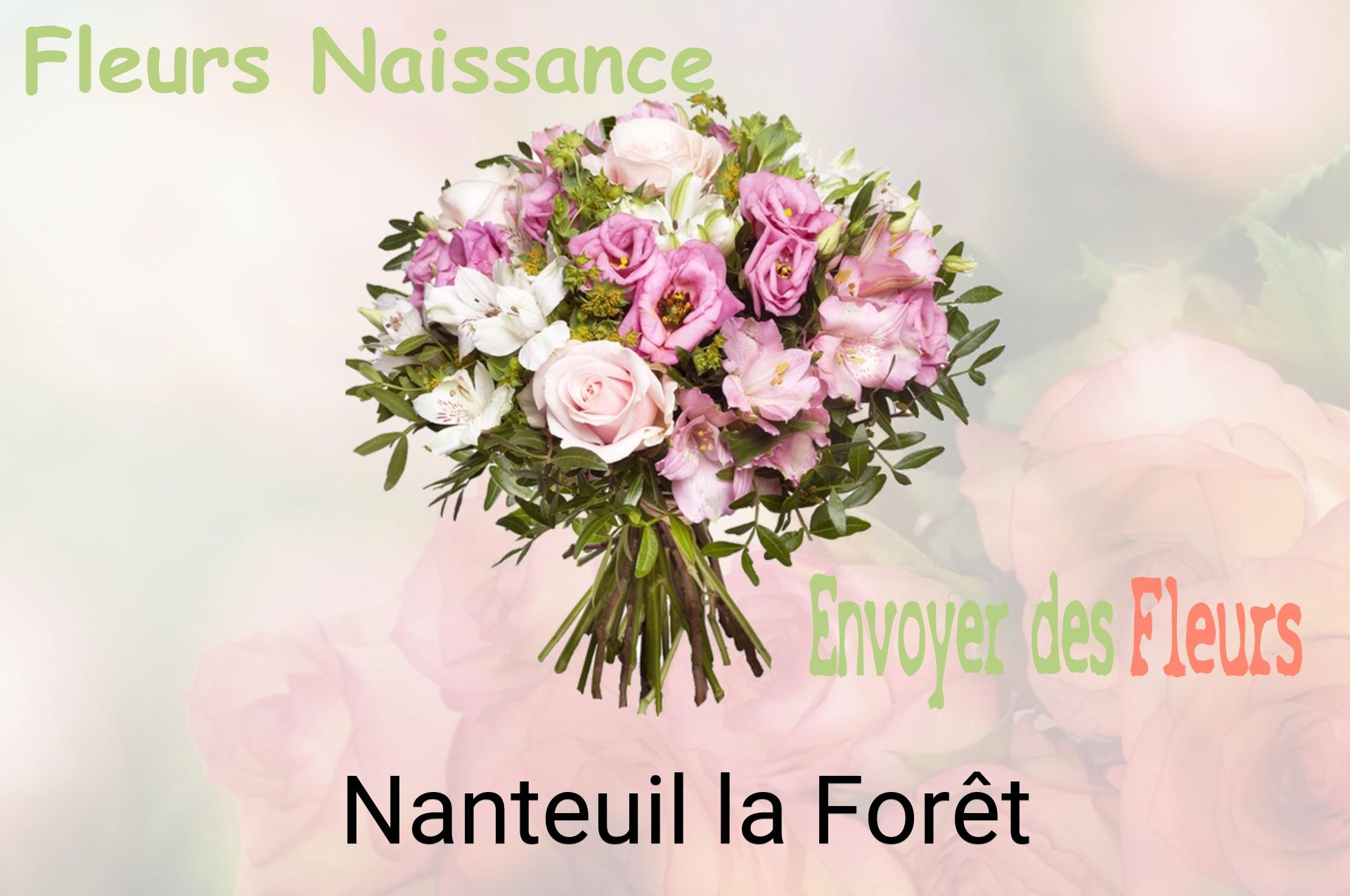 Bouquet de fleurs de naissance livré à Nanteuil-la-Forêt